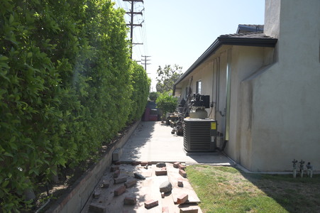 Enlarge photo 53