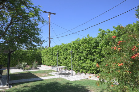 Enlarge photo 55