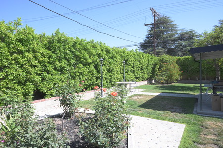 Enlarge photo 60