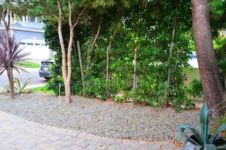 Enlarge photo 20