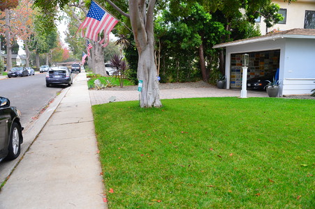 Enlarge photo 23