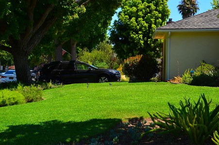 Enlarge photo 10