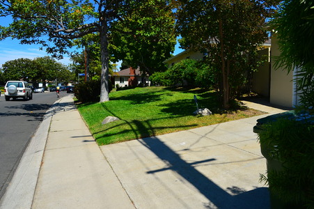 Enlarge photo 16