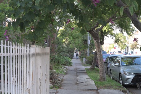 Enlarge photo 109