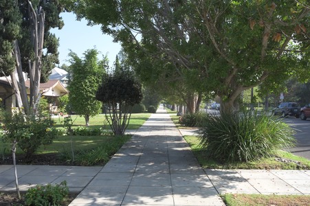 Enlarge photo 15