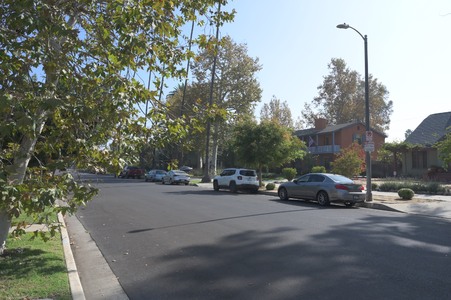 Enlarge photo 21