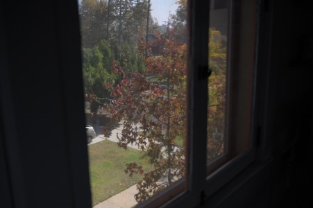 Enlarge photo 87