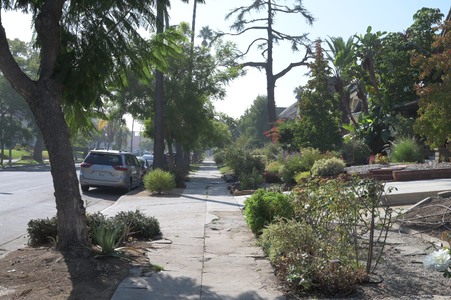 Enlarge photo 68