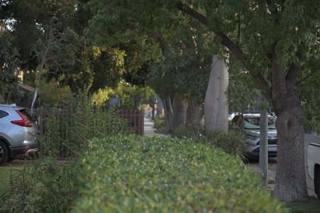 Enlarge photo 80