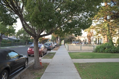 Enlarge photo 81