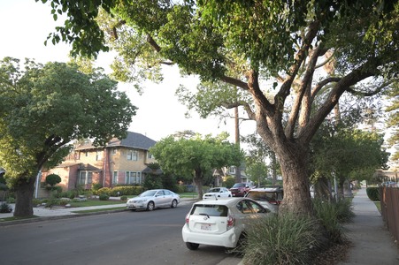 Enlarge photo 92