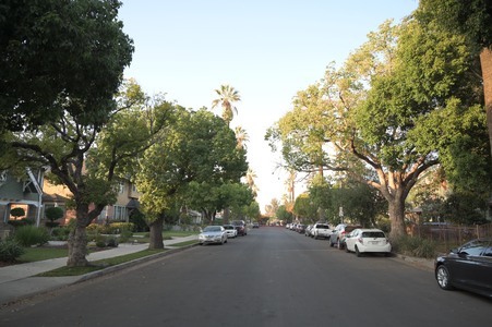 Enlarge photo 95
