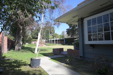 Enlarge photo 41
