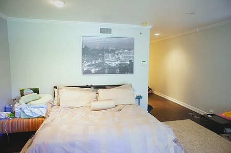 Enlarge photo 46