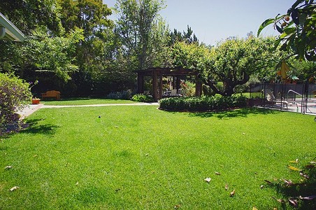 Enlarge photo 62