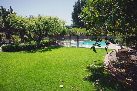 Enlarge photo 64