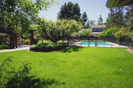 Enlarge photo 65