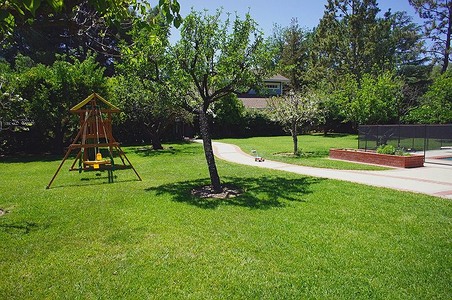Enlarge photo 67
