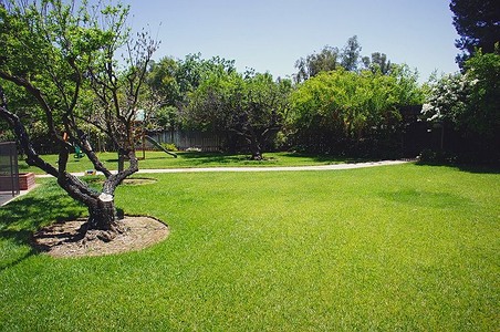 Enlarge photo 72