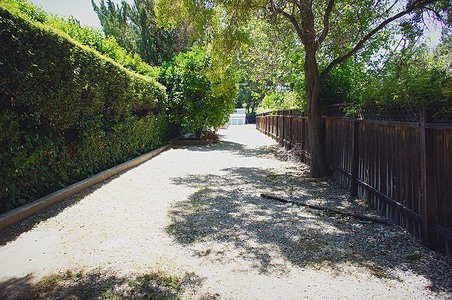 Enlarge photo 93