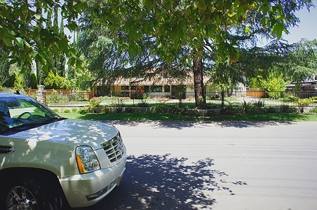 Enlarge photo 107