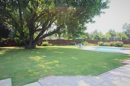 Enlarge photo 77