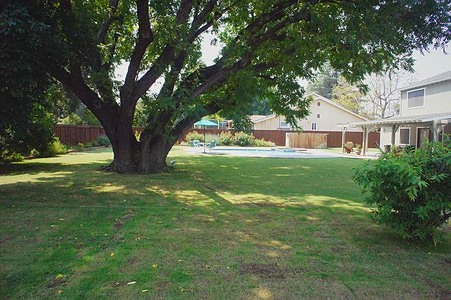Enlarge photo 79
