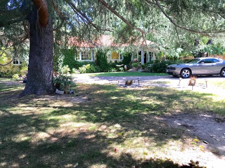 Enlarge photo 2