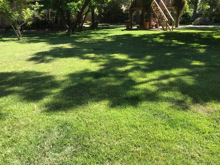 Enlarge photo 66