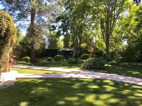 Enlarge photo 71