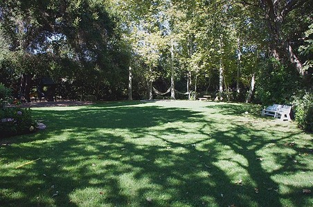 Enlarge photo 91