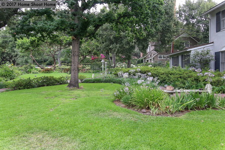Enlarge photo 7