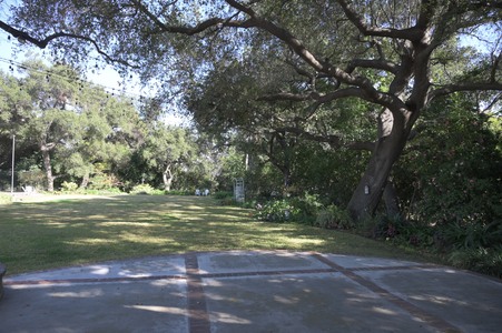 Enlarge photo 46