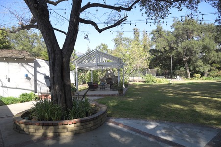 Enlarge photo 47