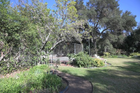 Enlarge photo 57