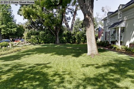Enlarge photo 41