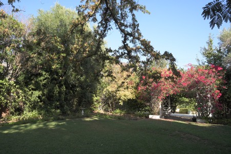 Enlarge photo 15