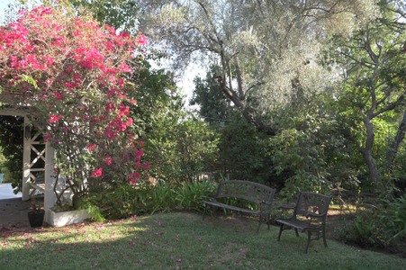 Enlarge photo 26