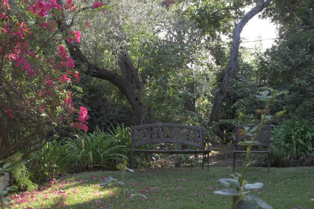 Enlarge photo 27