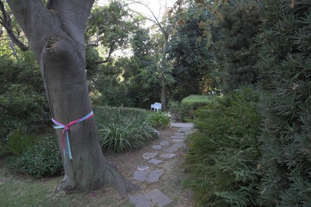 Enlarge photo 32