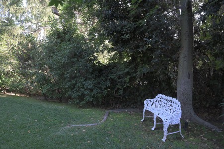 Enlarge photo 34