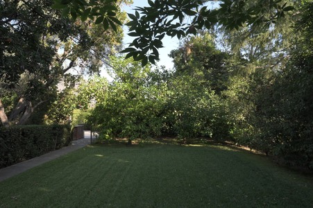 Enlarge photo 36
