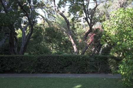 Enlarge photo 38