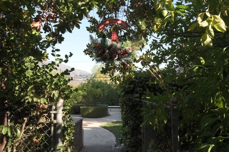 Enlarge photo 39