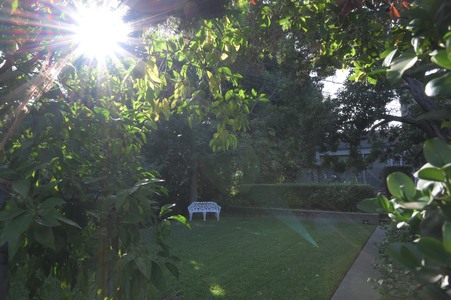 Enlarge photo 40
