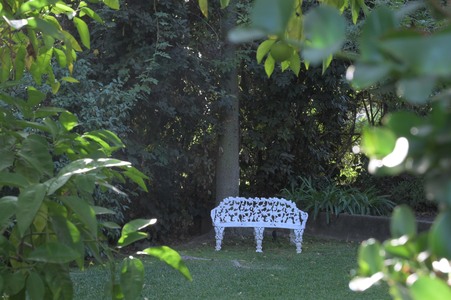Enlarge photo 41