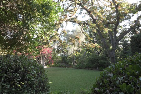 Enlarge photo 53