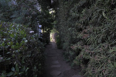 Enlarge photo 55