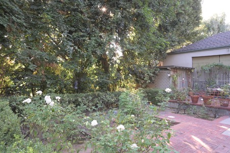 Enlarge photo 57