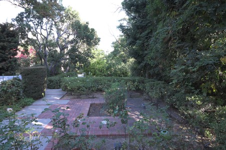 Enlarge photo 59